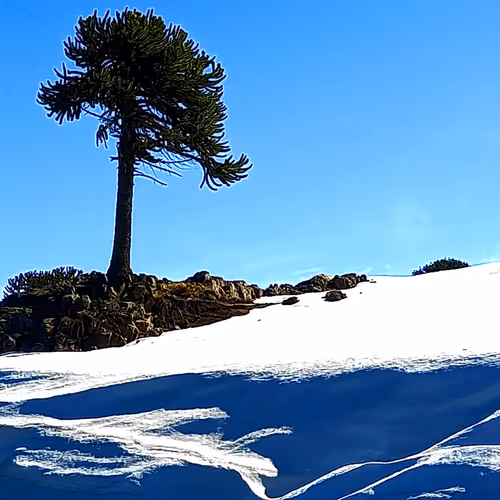 April 23 Carlos Deuker