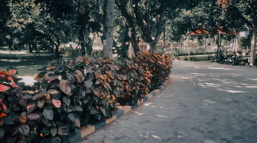 Item #66869618967602468746282682134224071188176977612925683750595185227602453331969 Media