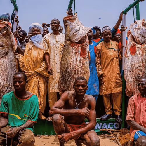 Item #45826700837624335778111352890142776535813716151077264518696135962708257275905 Media