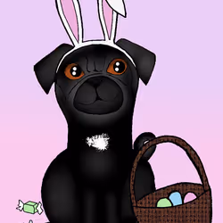 43115574000057118557944420121181590544146429277052068556631778259171173990401