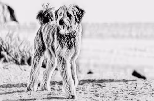 Item #23143313246472061328071561115701105421589606567298838424350448143440011067393 Media