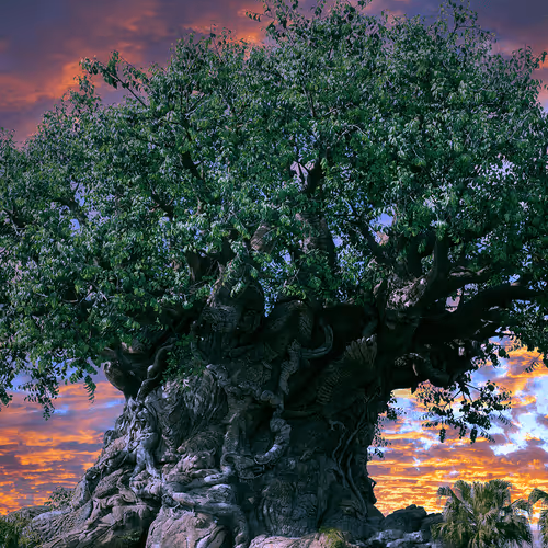 Item #88004996534824683595530724546599971679500479885653343253103225463822396424193 Media