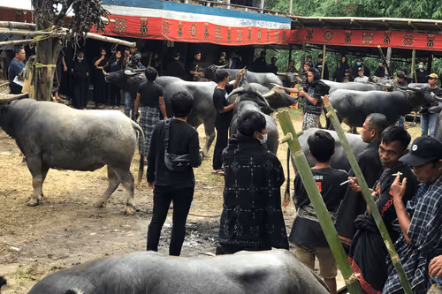 Item #38877693764523426570761701287930301340206562641866657206928720115549140418561 Media