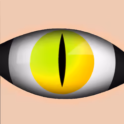 Witcher Gerald's Eye
