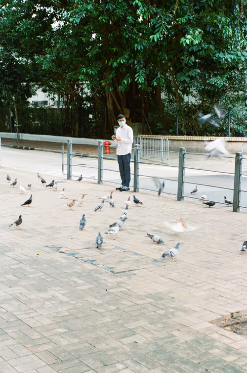 Item #25255888101002382068529850944543426464407705804600295961589146189553685495809 Media