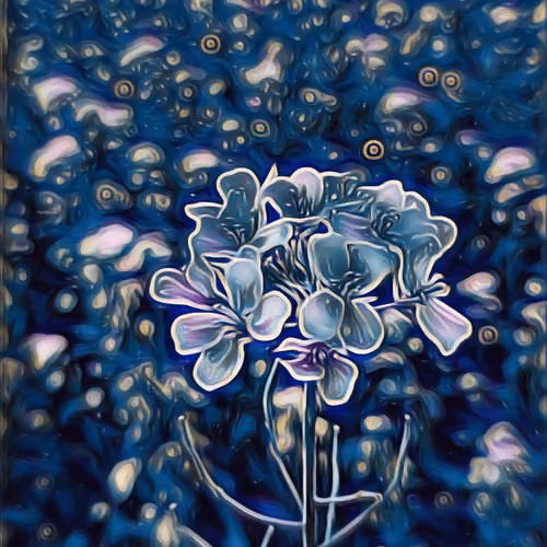 Magical Flower