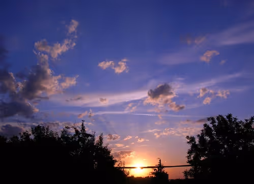 Item #55297223282317197917185791022658401724226762533250968792427961314631722467329 Media