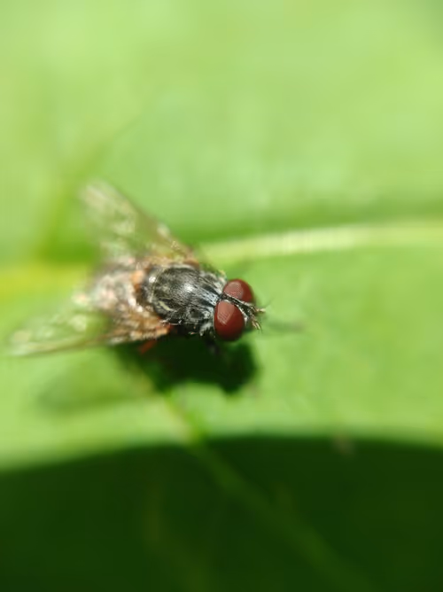 Item #53581876738018030526296833198765097323208142745183468553001527214906479215592 Media