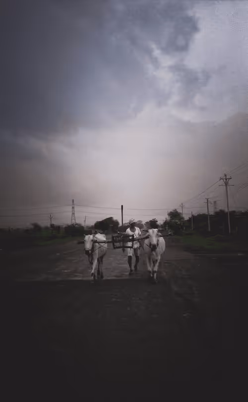 Item #25616082582926581849828542289953210650844898071757148195180127652951518871553 Media