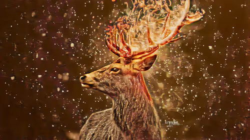 Item #74388721199083954673298778298232823886096642493620239959546432220269635436545 Media