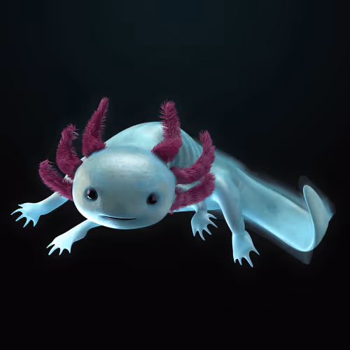 Item #39982110375740153587505644478940195082872270202471884348459982168890475020289 Media