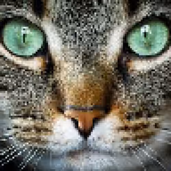 91910287960762603597667557624097333532700135261074982792072954931708247932929