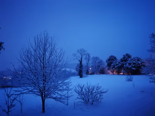 Item #40258061930513279539364952929264840303720080897158071095679508066904173445121 Media