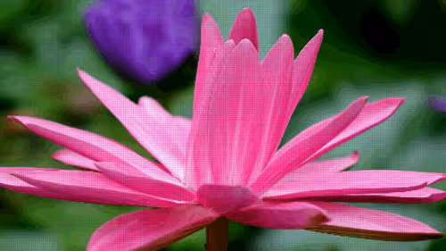 Item #75866091947728652238534111254584504918190435733442380629681527396630418948097 Media