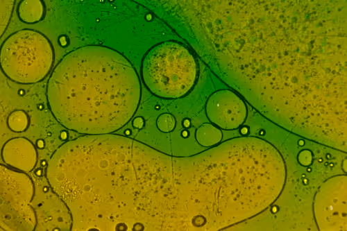 Item #25248765690261585435434482314818899014355955401617162377978101871600765763585 Media