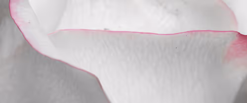 Item #93437413673241477184719516664819130297052764633557001940307578639701529067521 Media