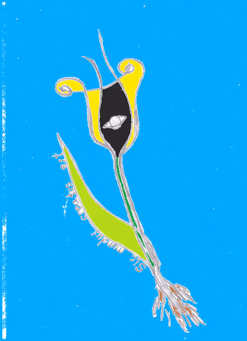 Item #78372344644040746449874310958977157723770012723635305173835921570456408162305 Media