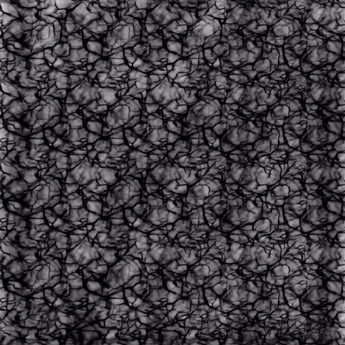 84069651492168824872747640481182383567388642907318779422036428197148181397505