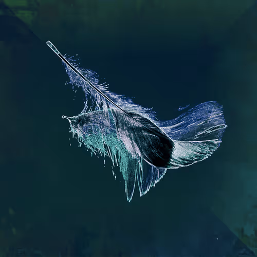 Item #72932321608233697749117711298000337470595698923978217717692158302231547871233 Media