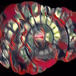 29877578668728852178902598419785793077778618348046200683544678256875432574977