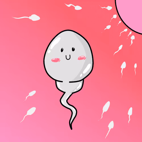 Item #43409598400391733062720776920516366540391414180502671042323228280897685946369 Media