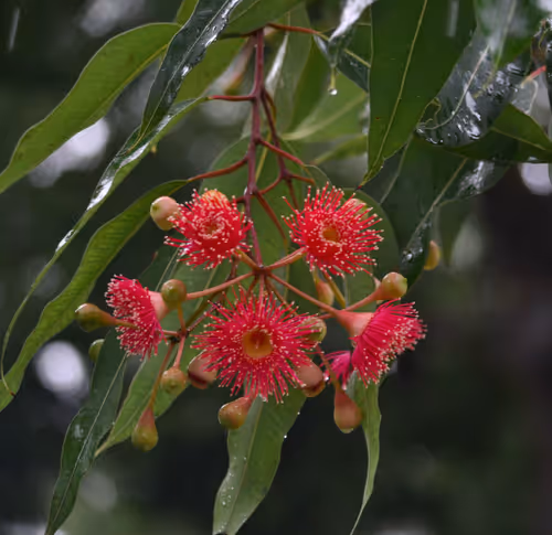 Item #78441717709132841672337201434207966233185463540697725534658746334662103138314 Media