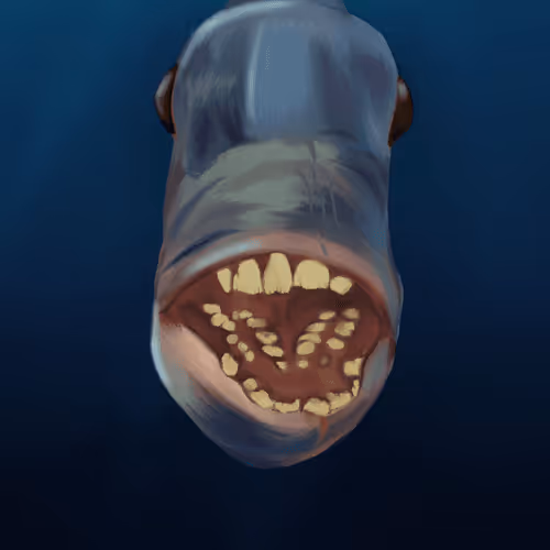 Birthday Fishface