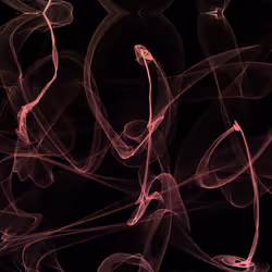 90192115954913034782055345868888353518643140281214202115810035385007756804097