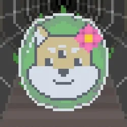 63313057381602991882420076386805618935829661494111684517451527333925269536769