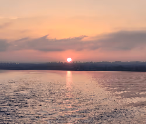 Untitled Collection #208924520