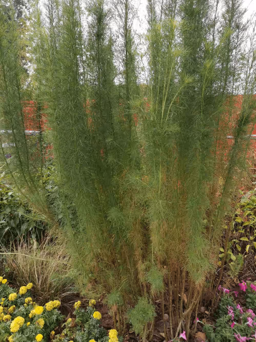 Item #105057883243597752943893910039238115039509970010382678399475215115796434911233 Media