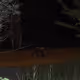 78464675598329895338856076763730346040236516437073634463392275776637063135233