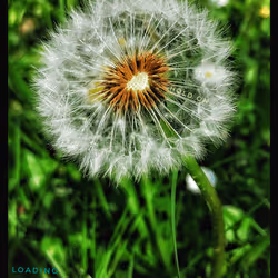 3787080761074609709675817509753112159059746763483256848434353662250012639233