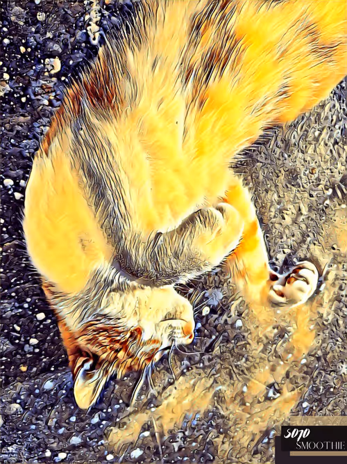 Item #70173555060280459679020221103172679865592931086946583501557978875503967207425 Media