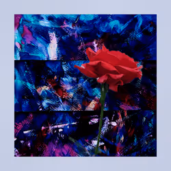 107464939479397688901716032511019128442777747933969988168049446710297514475521