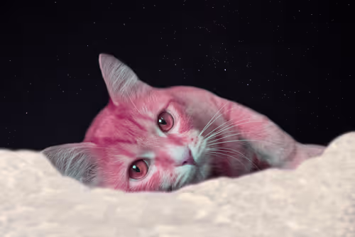 Item #32404463046074956025962299298214125770629787489343874990180996632620910510180 Media