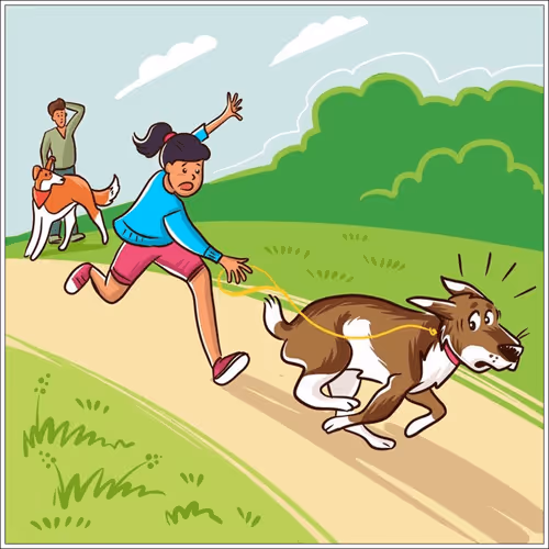 Item #18367895189628650702365918865756409628075624866628392091198546142759586103308 Media