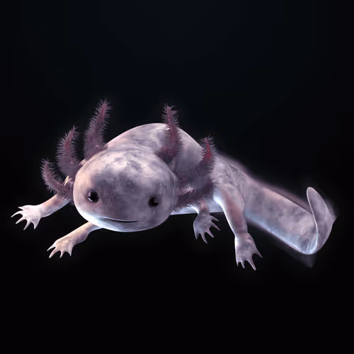 Item #39982110375740153587505644478940195082872270202471884348459982296433823842305 Media