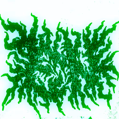 Item #61790494391636573646642745337954959220949215128901421939444492212485440405505 Media