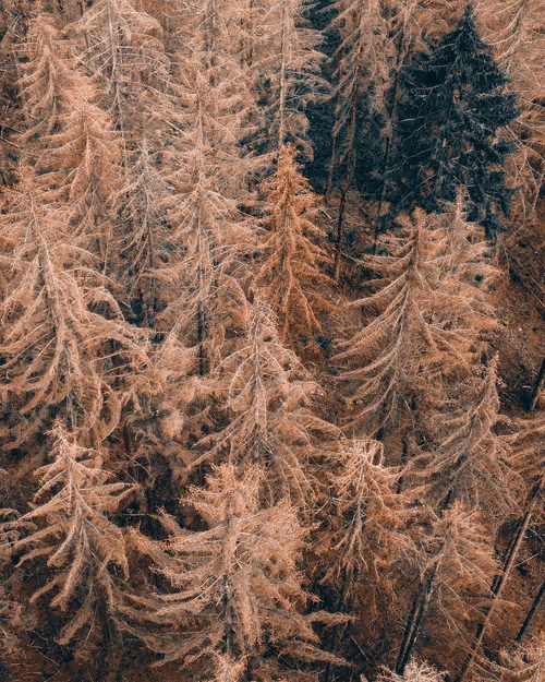 Item #53767926527216059655815230459290075680023416823496414211124190734295599415297 Media