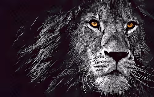 Item #93923233632041811591947190979748188686960949210447333621743719717127805993060 Media