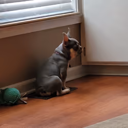Baby Dozer is Cold 