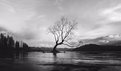 Item #85435699463727729381906996415223420916948788622176448663685512338251156815873 Media