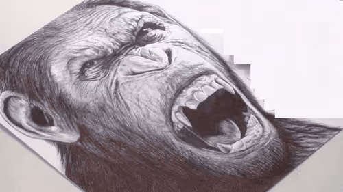 Item #48962084060186019940623196789396244510789399652711377126682244775911589150723 Media