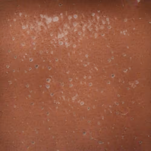 Item #58241160855422744817468407088196322100109565521561100950236906641001715597313 Media