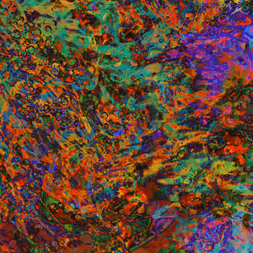 Item #1283719733384409747386132772034256179958706701624786351734729214969667125249 Media