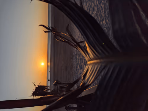 Untitled Collection #85010155