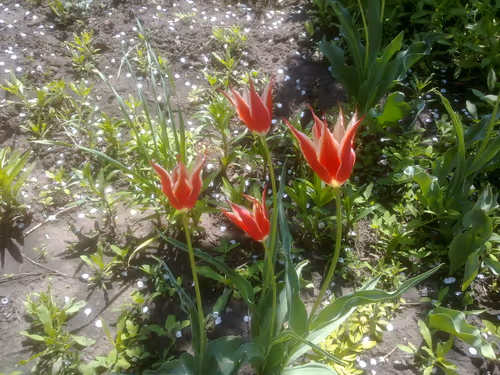 Item #41983459946325006344850038724007157971914249844141491949312563215576277712897 Media