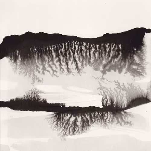 Item #38815986293589251371928311393164180087337567749251340404798850428625836048385 Media