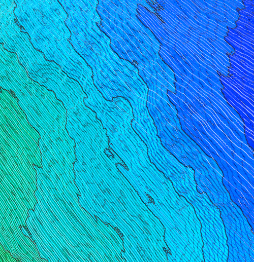 Item #59983775076957020765917677580052527524329111032362406415333020792177056284673 Media